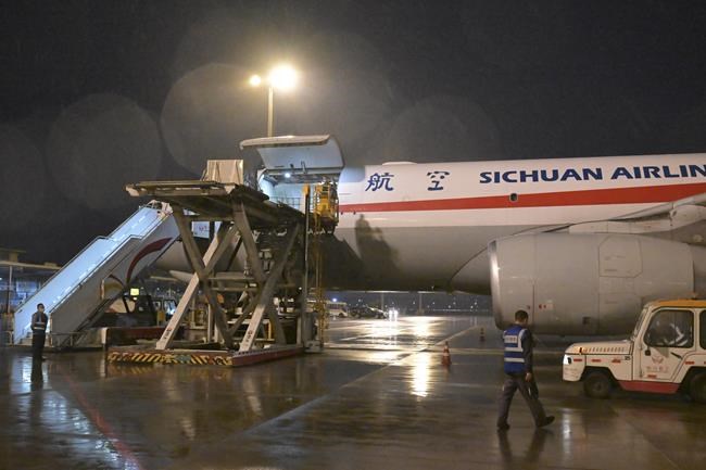 South Koreans bid emotional farewell to beloved panda leaving for China | iNFOnews.ca South Koreans bid emotional farewell to beloved panda leaving for China | iNFOnews.ca