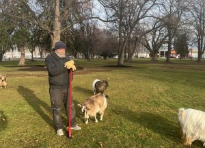 Man standing with four goats.
