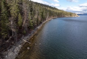 A picture of a lake shoreline.
