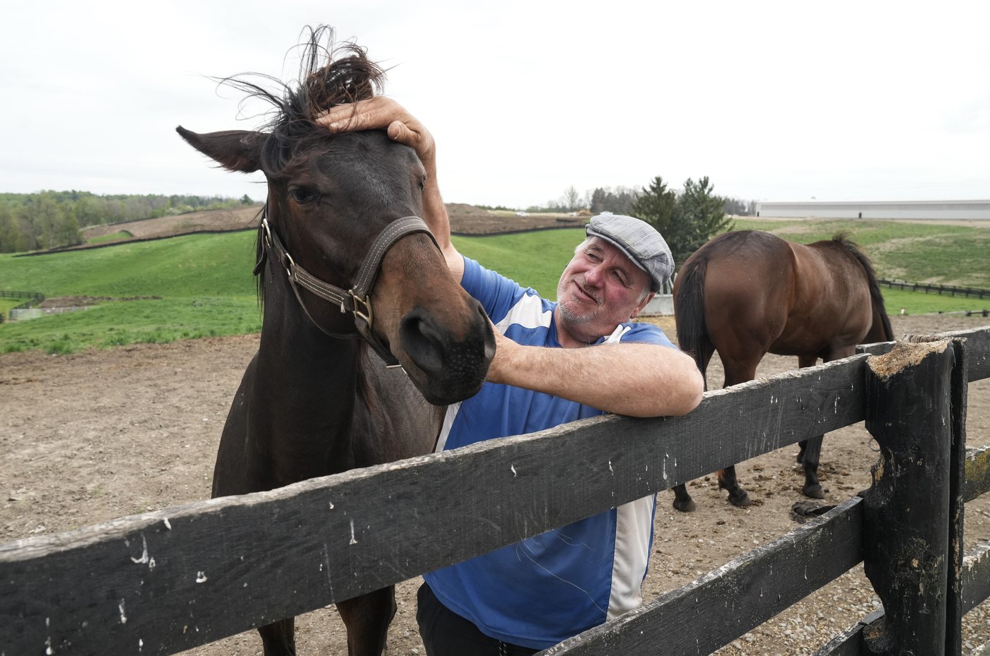 Veteran horseman Tim Drake says bringing a new life into the world never gets old | iNFOnews.ca Veteran horseman Tim Drake says bringing a new life into the world never gets old | iNFOnews.ca