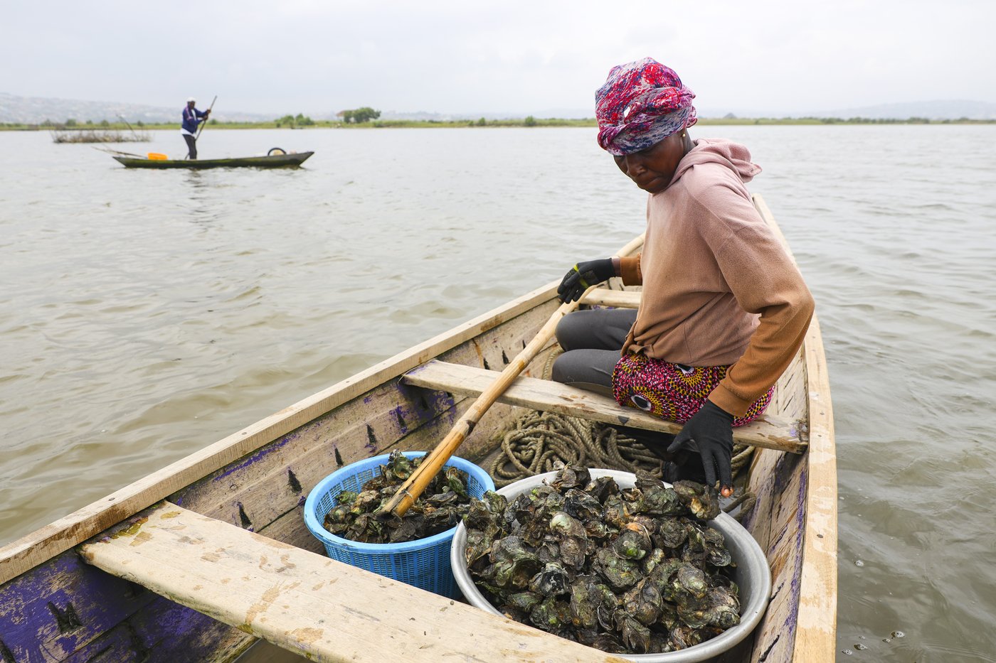In coastal Ghana, female oyster farmers try to save an old practice threatened by climate change | iNFOnews.ca