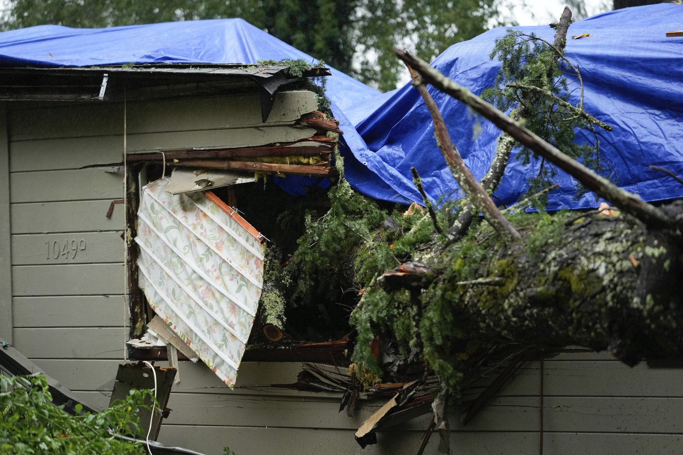 Northern California gets record rain and heavy snow. Many have been in the dark for days in Seattle | iNFOnews.ca Northern California gets record rain and heavy snow. Many have been in the dark for days in Seattle | iNFOnews.ca