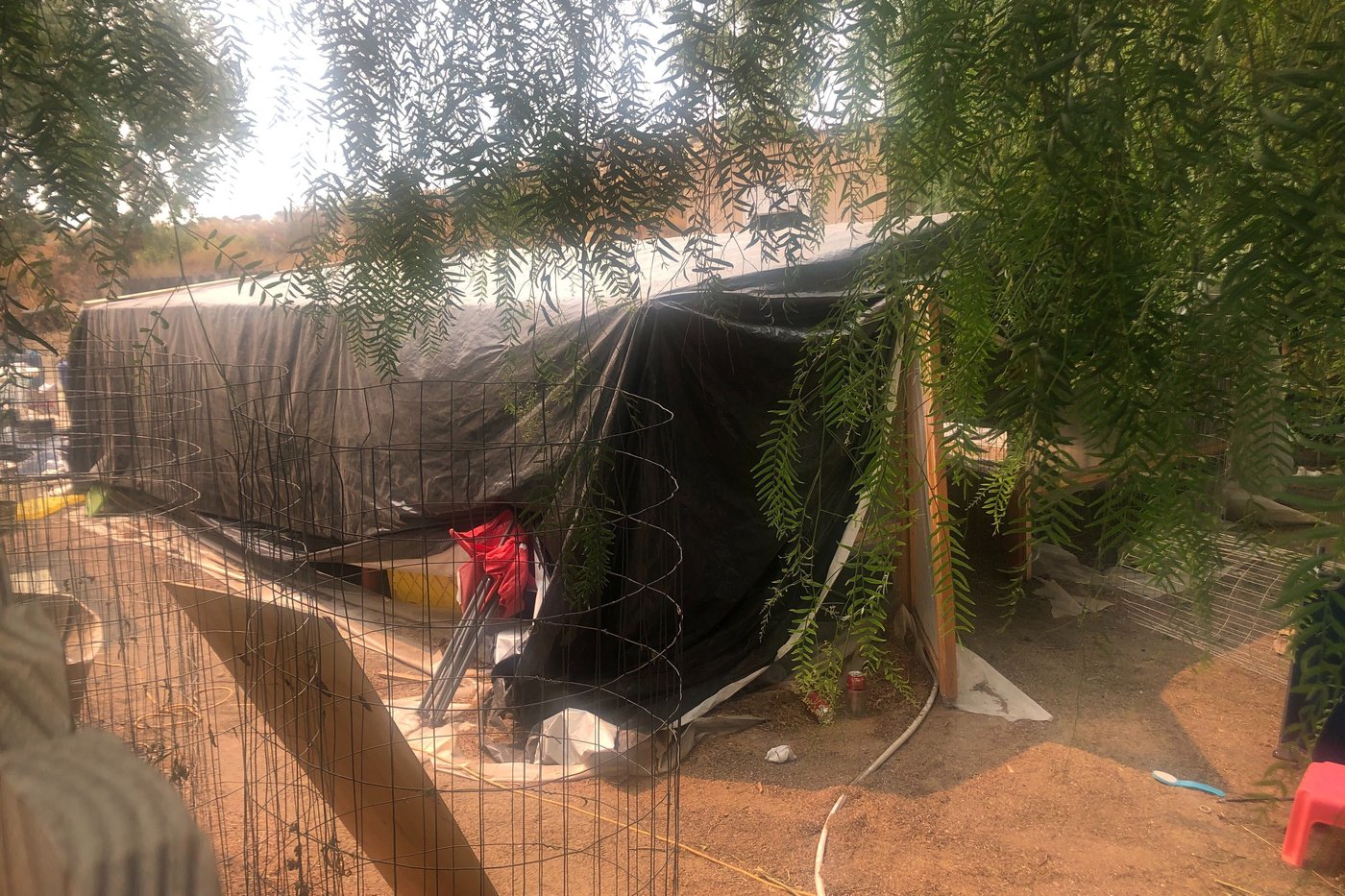 Authorities suspect gang members killed 7 workers at a California marijuana farm in 2020 | iNFOnews.ca