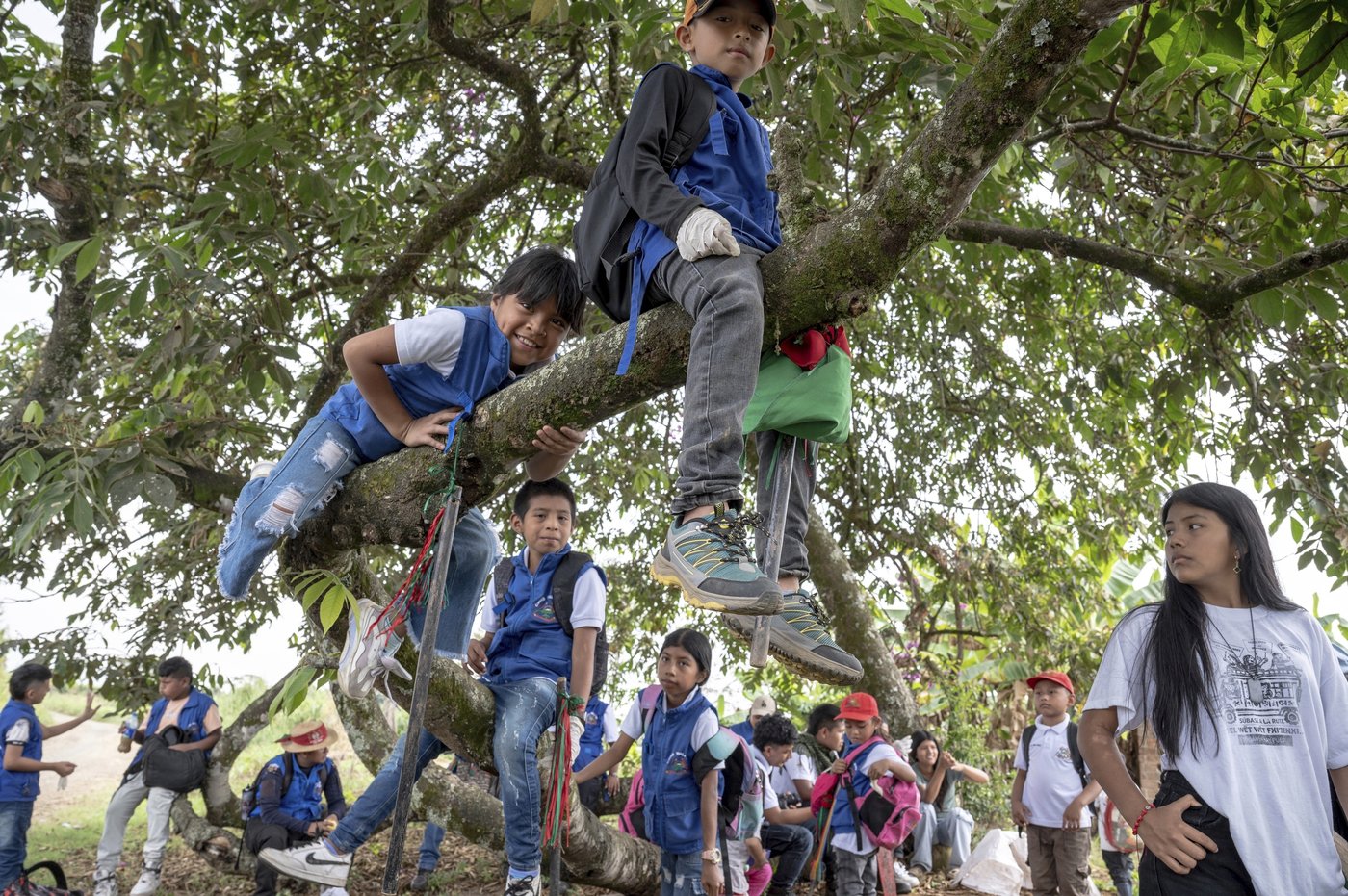 After taking back land in Colombia, Indigenous prepare their youth to safeguard it | iNFOnews.ca After taking back land in Colombia, Indigenous prepare their youth to safeguard it | iNFOnews.ca