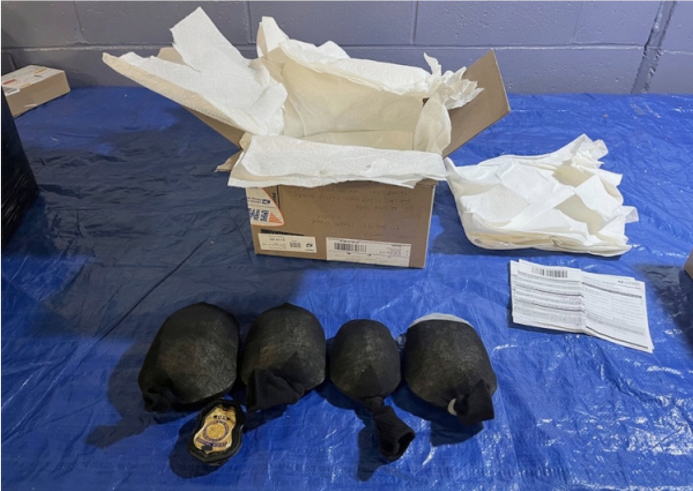 Man admits trying to smuggle 850 protected turtles valued at $1.4 million to Hong Kong | iNFOnews.ca