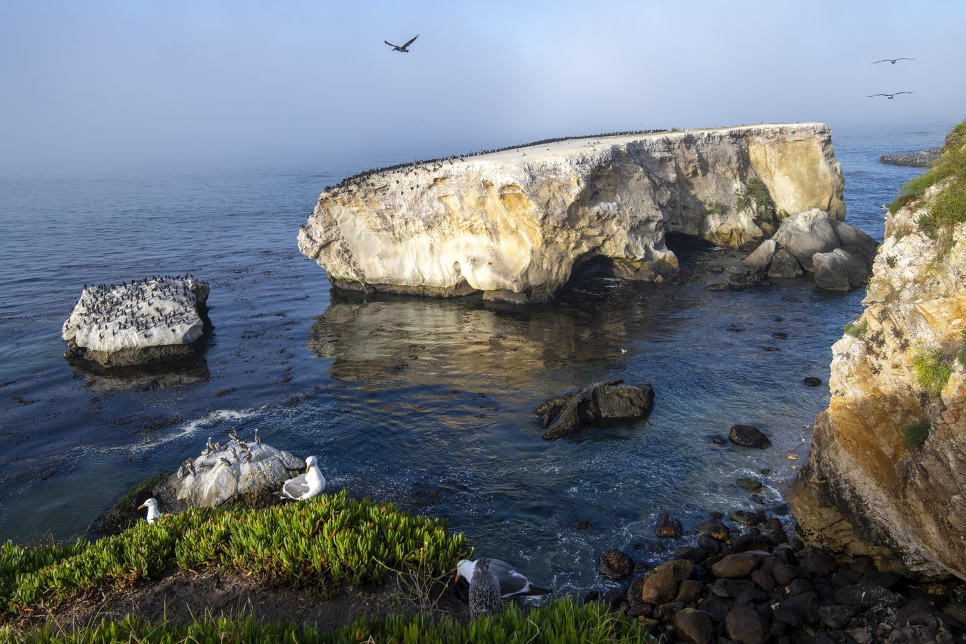 Chumash people in California to co-steward marine sanctuary in historic partnership | iNFOnews.ca Chumash people in California to co-steward marine sanctuary in historic partnership | iNFOnews.ca