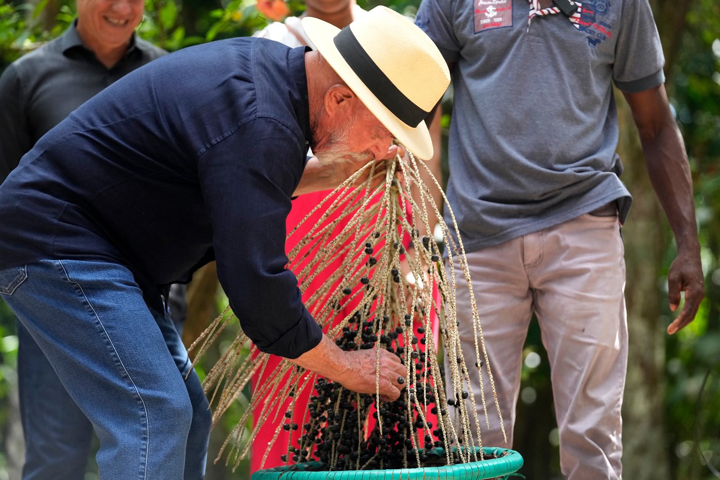 Brazil's Lula puts forward new vision for protecting the Amazon rainforest | iNFOnews.ca Brazil's Lula puts forward new vision for protecting the Amazon rainforest | iNFOnews.ca