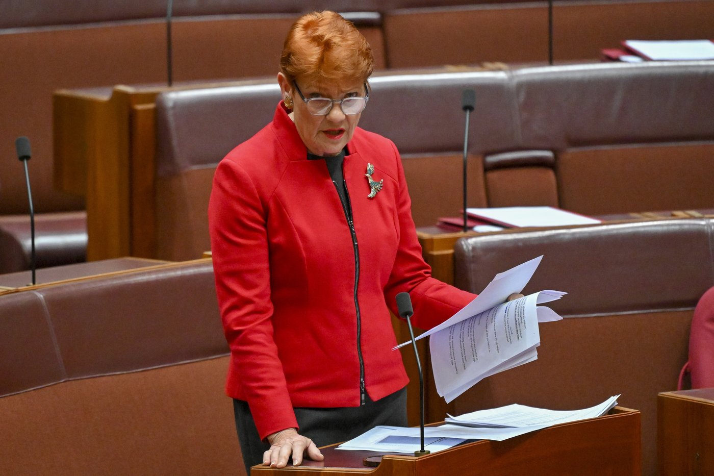 Australian judge rules senator broke race law by telling rival legislator to return to Pakistan | iNFOnews.ca