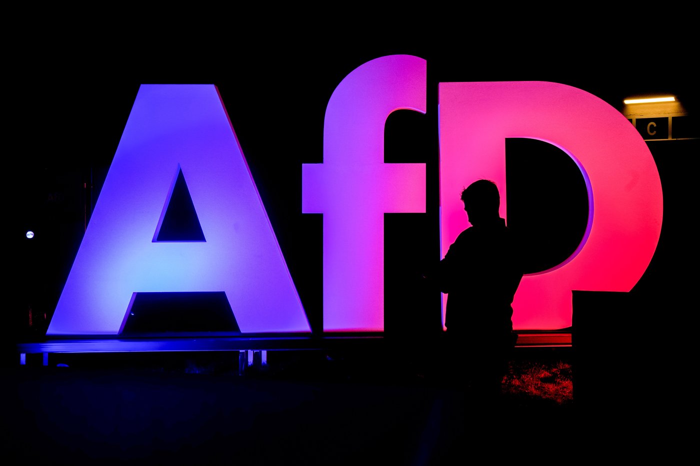 Alternative for Germany is listed as a 'right-wing extremist' party by domestic intelligence agency | iNFOnews.ca