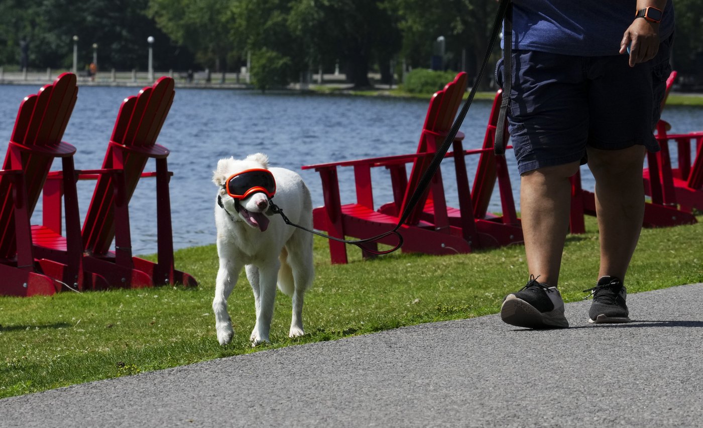Burn bans and water restrictions in place in Ottawa area as dry conditions persist | iNFOnews.ca Burn bans and water restrictions in place in Ottawa area as dry conditions persist | iNFOnews.ca
