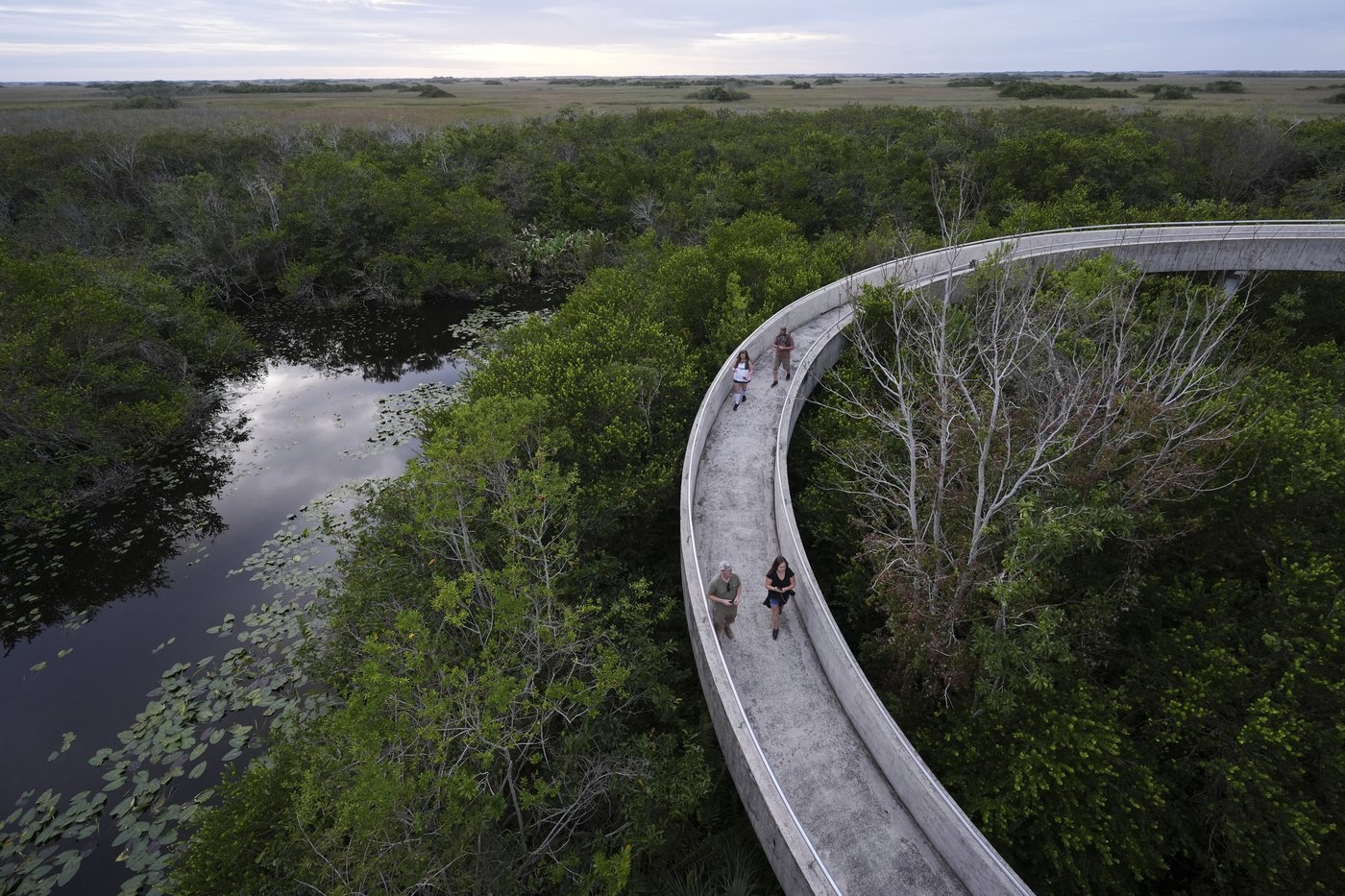 In Florida, a race is on to save the Everglades and protect a key source of drinking water | iNFOnews.ca In Florida, a race is on to save the Everglades and protect a key source of drinking water | iNFOnews.ca