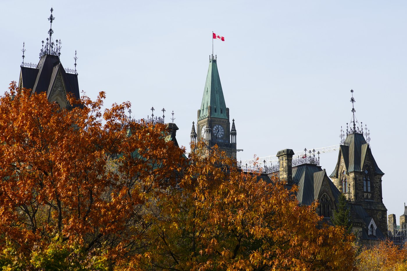 Only new firearms from buyback program will go to Ukraine, Defence Department says | iNFOnews.ca Only new firearms from buyback program will go to Ukraine, Defence Department says | iNFOnews.ca