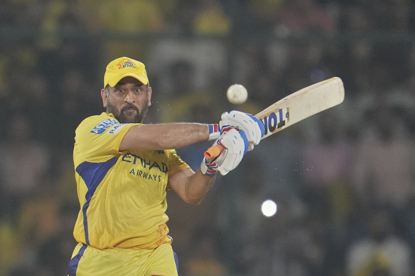 Cricket's Hall of Fame inducts Dhoni, Mir, Smith, Amla, Hayden, Vettori and Taylor | iNFOnews.ca Cricket's Hall of Fame inducts Dhoni, Mir, Smith, Amla, Hayden, Vettori and Taylor | iNFOnews.ca