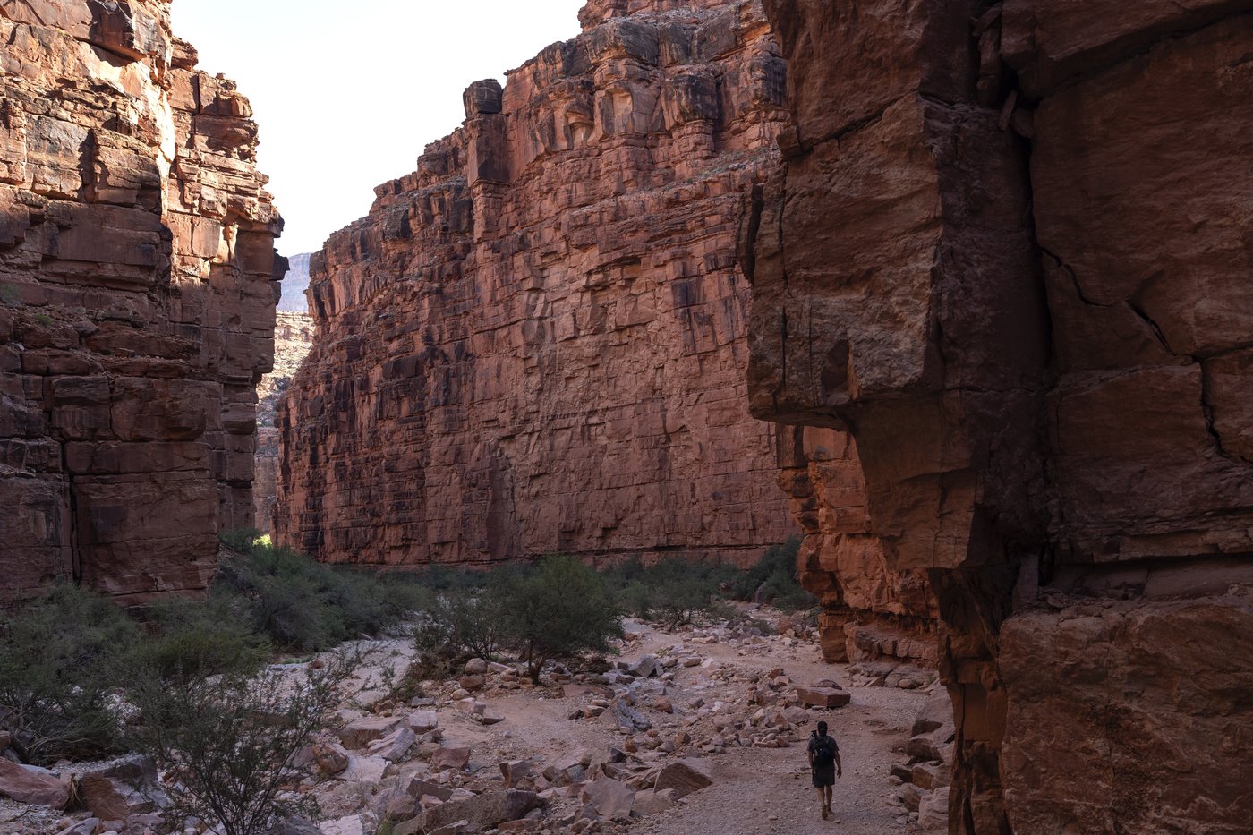 Native voters could swing US elections, but they're asking politicians: What have you done for us? | iNFOnews.ca