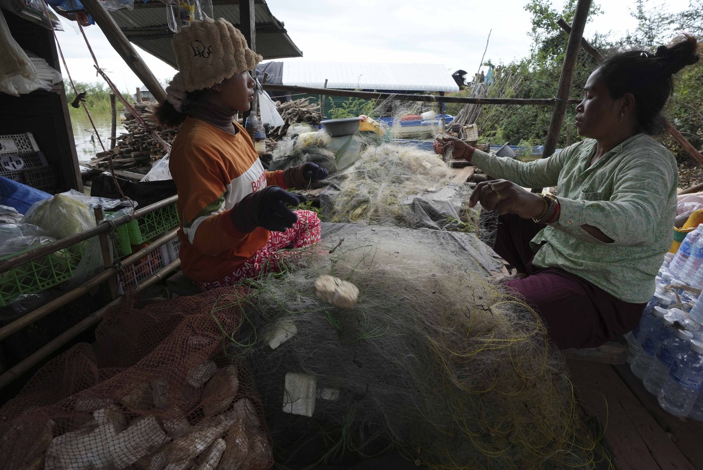 Cambodian fishermen turn to raising eels as Tonle Sap lake runs out of fish | iNFOnews.ca Cambodian fishermen turn to raising eels as Tonle Sap lake runs out of fish | iNFOnews.ca