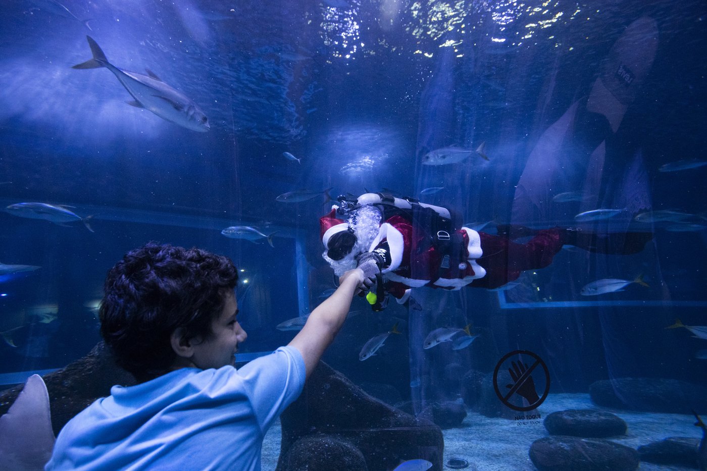 Santa Claus joins sharks for a holiday swim at a Rio de Janeiro aquarium | iNFOnews.ca Santa Claus joins sharks for a holiday swim at a Rio de Janeiro aquarium | iNFOnews.ca