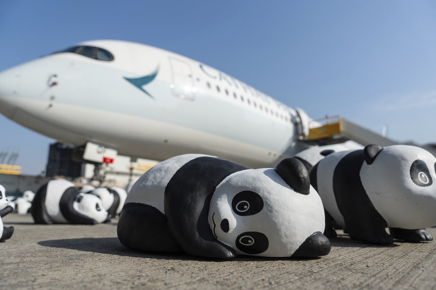 Hong Kong launches panda sculpture tour as the city hopes the bear craze boosts tourism | iNFOnews.ca