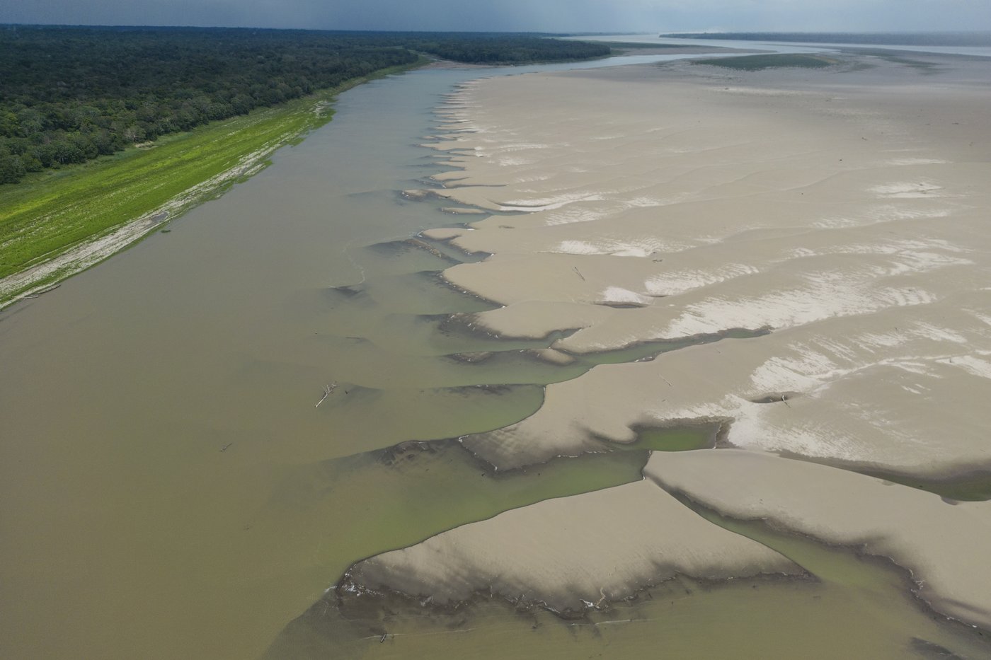 Slight progress in global biodiversity protection efforts but some species decline, new reports find | iNFOnews.ca