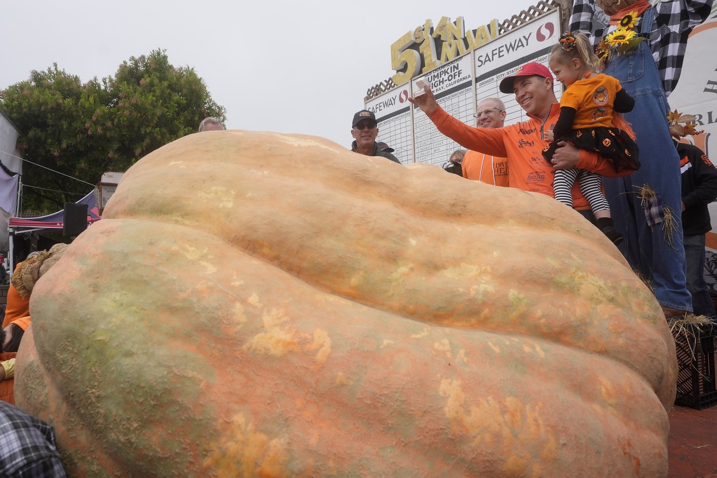 Pumpkin weighing 2,471 pounds wins California contest | iNFOnews.ca Pumpkin weighing 2,471 pounds wins California contest | iNFOnews.ca