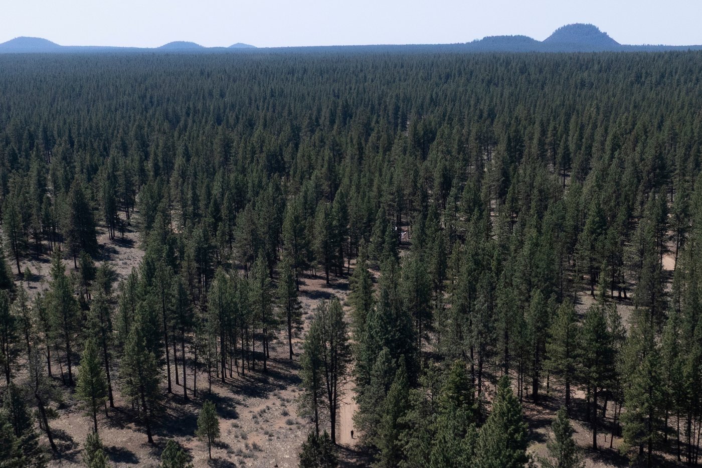 US Forest Service starts clearing homeless camp in Oregon national forest | iNFOnews.ca US Forest Service starts clearing homeless camp in Oregon national forest | iNFOnews.ca