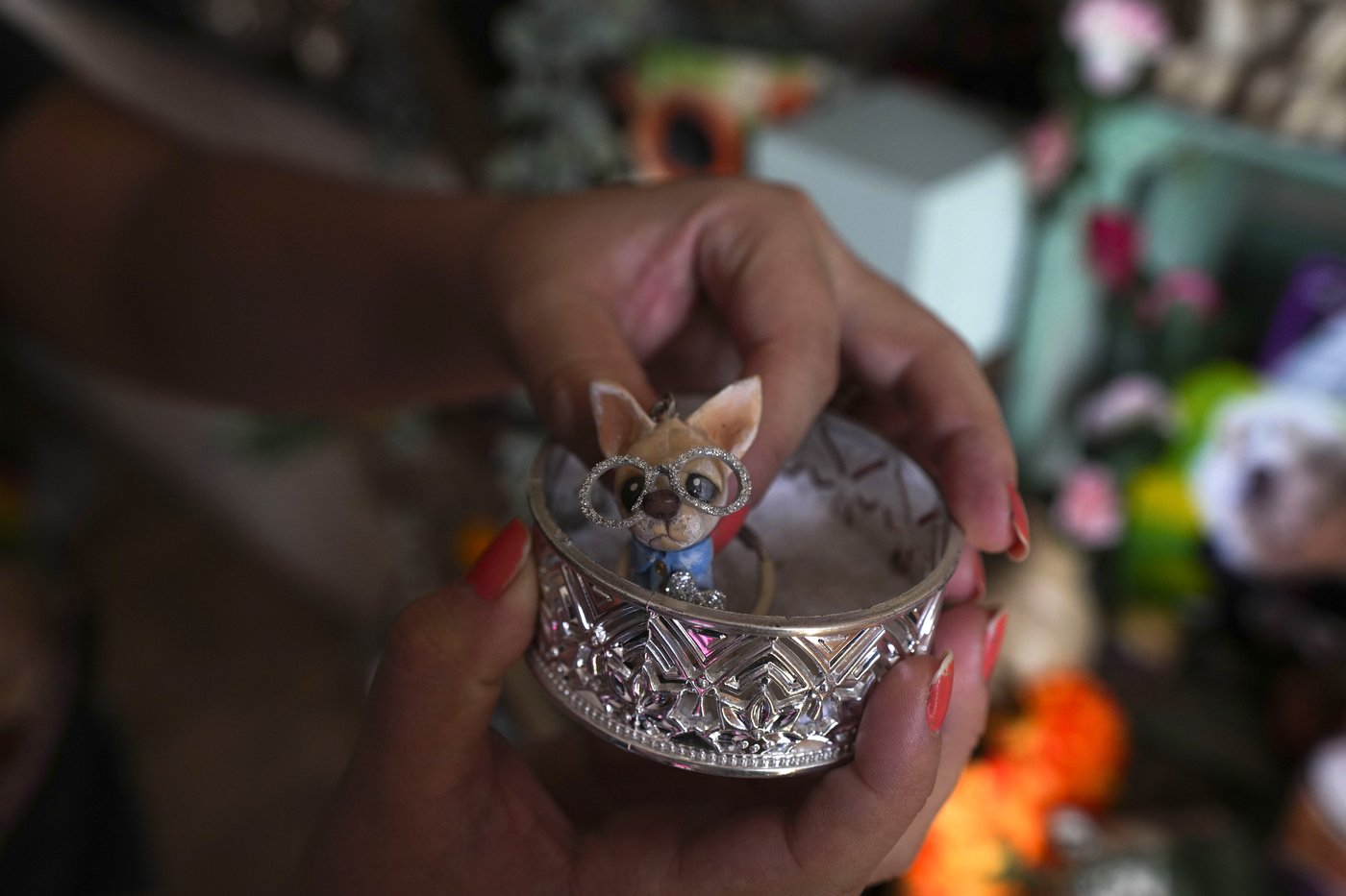 Pets join Mexico's Day of the Dead celebrations, as Fido and Tiger get their own altars | iNFOnews.ca