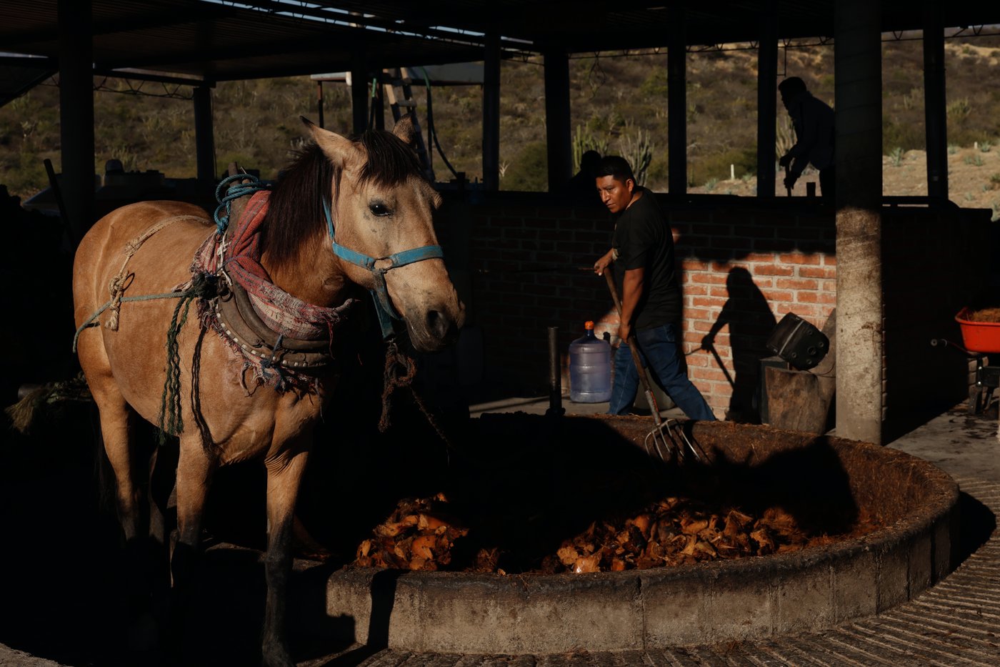 See how mezcal is made in Mexico | iNwine See how mezcal is made in Mexico | iNwine