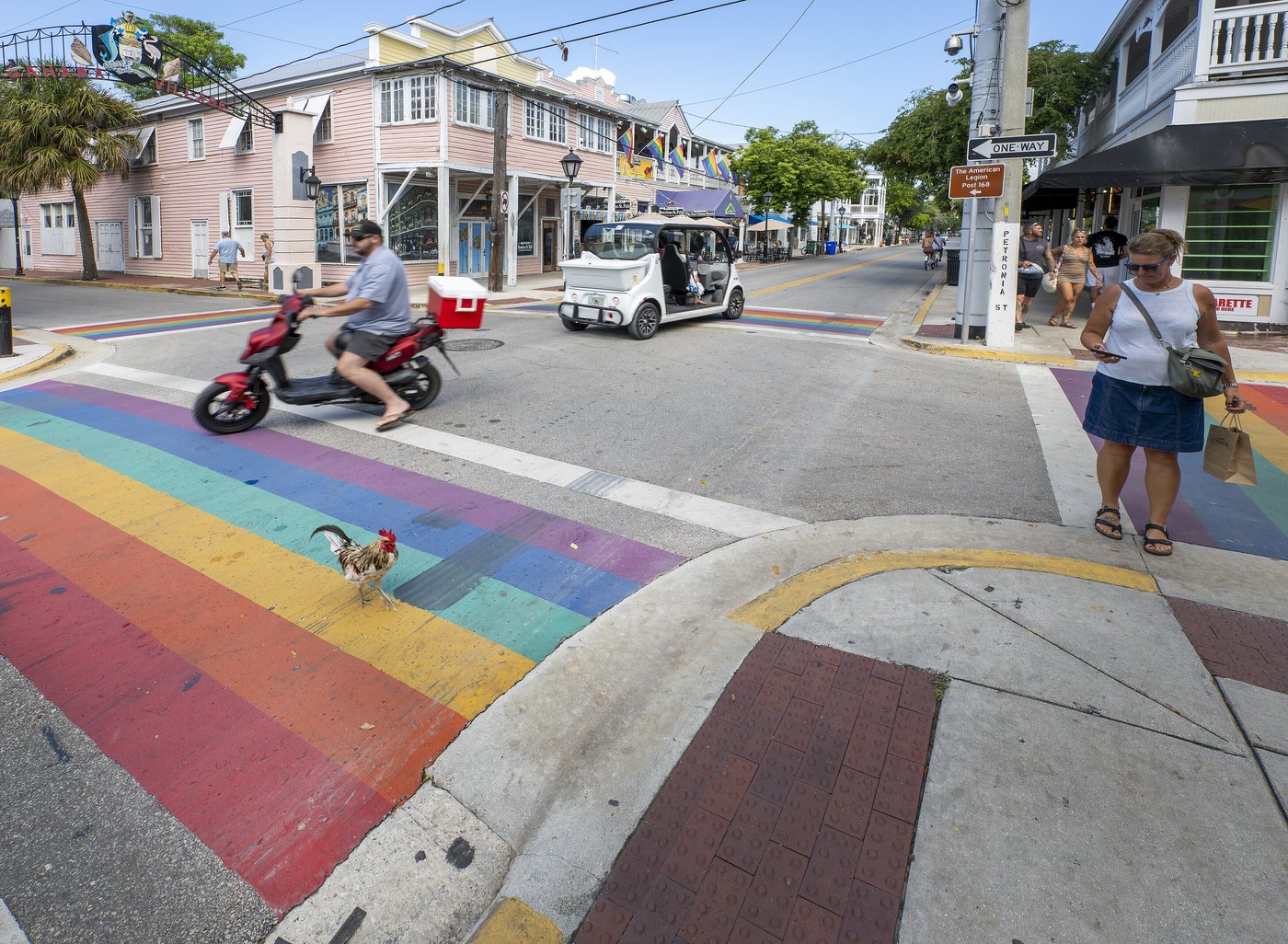 Florida puts rainbow crosswalks in the crosshairs, as cities face deadlines to remove them | iNFOnews.ca