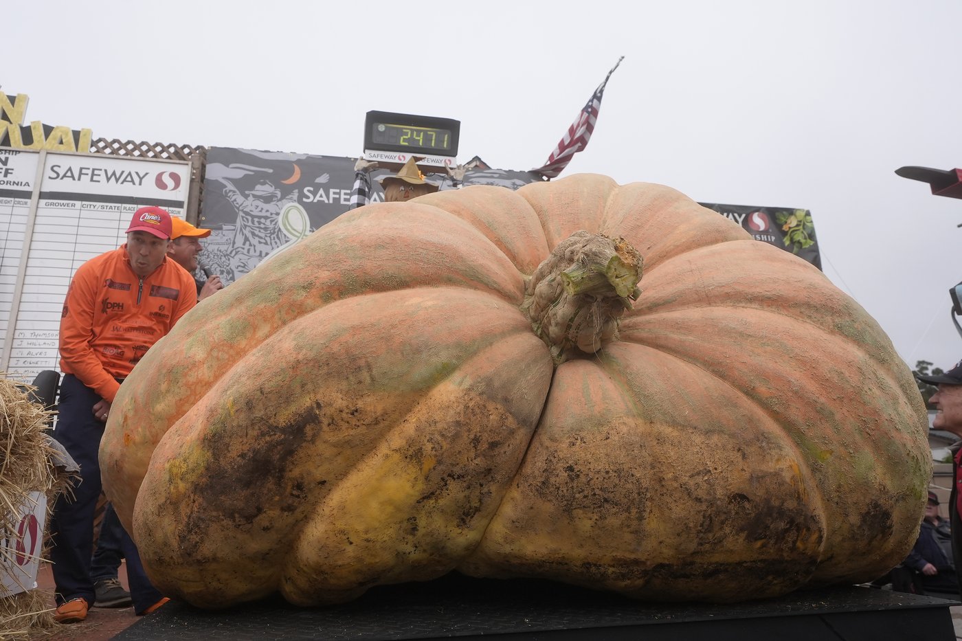 Pumpkin weighing 2,471 pounds wins California contest | iNFOnews.ca Pumpkin weighing 2,471 pounds wins California contest | iNFOnews.ca