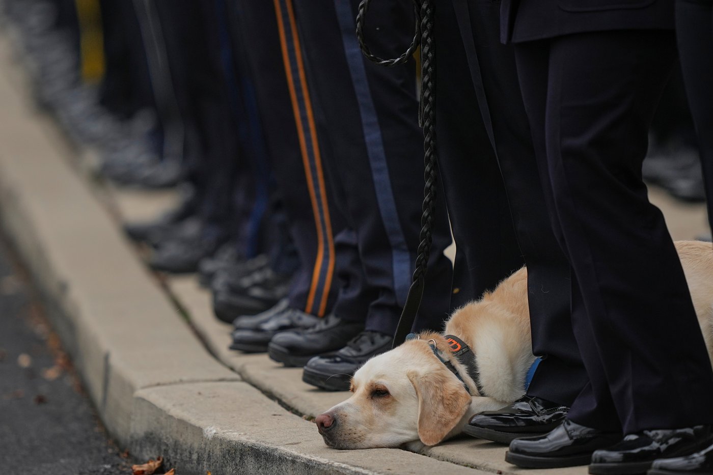 The top photos of the day by AP's photojournalists | iNFOnews.ca