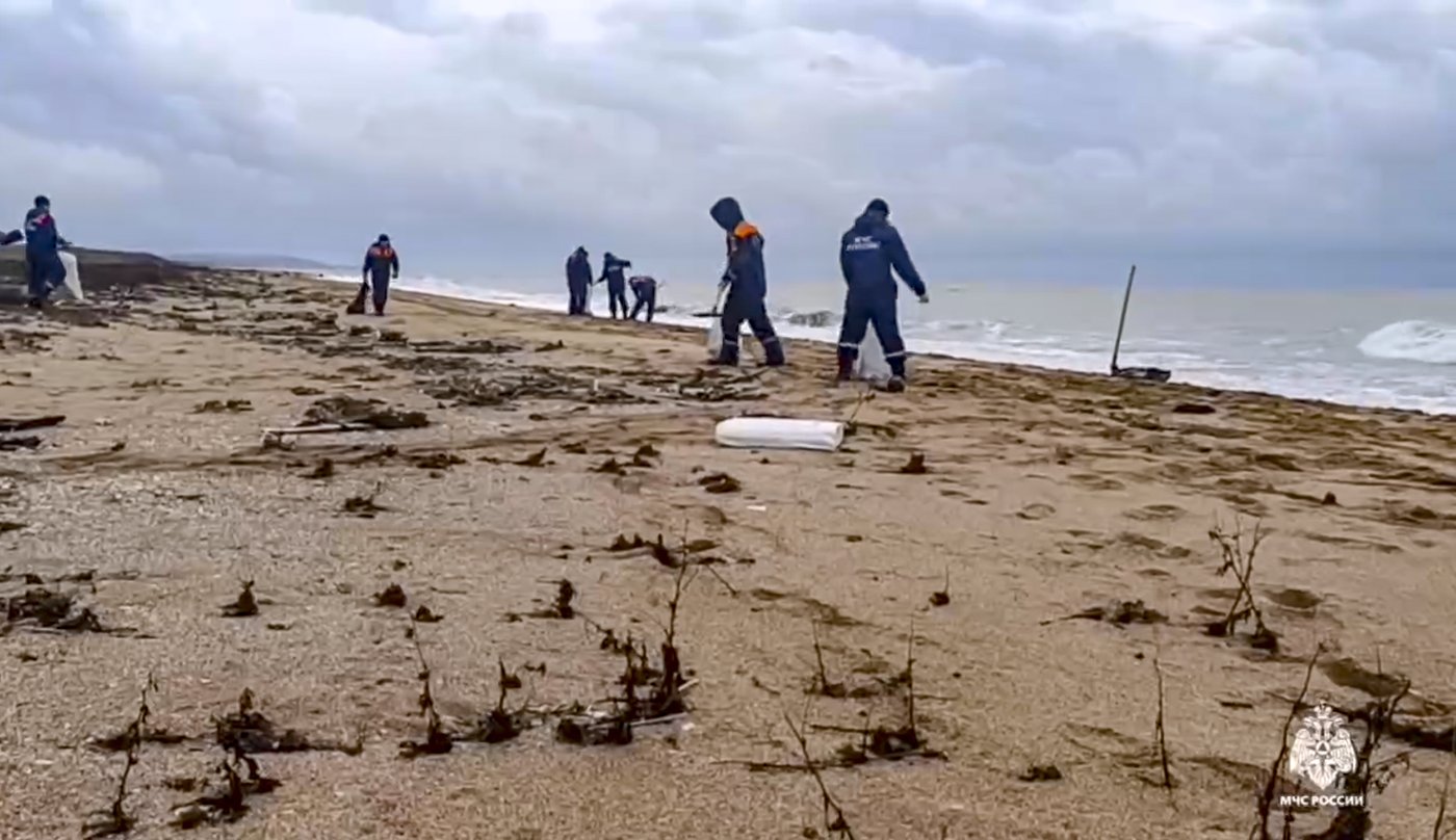 More than 30 dolphins have died since an oil spill in Russia, experts say | iNFOnews.ca