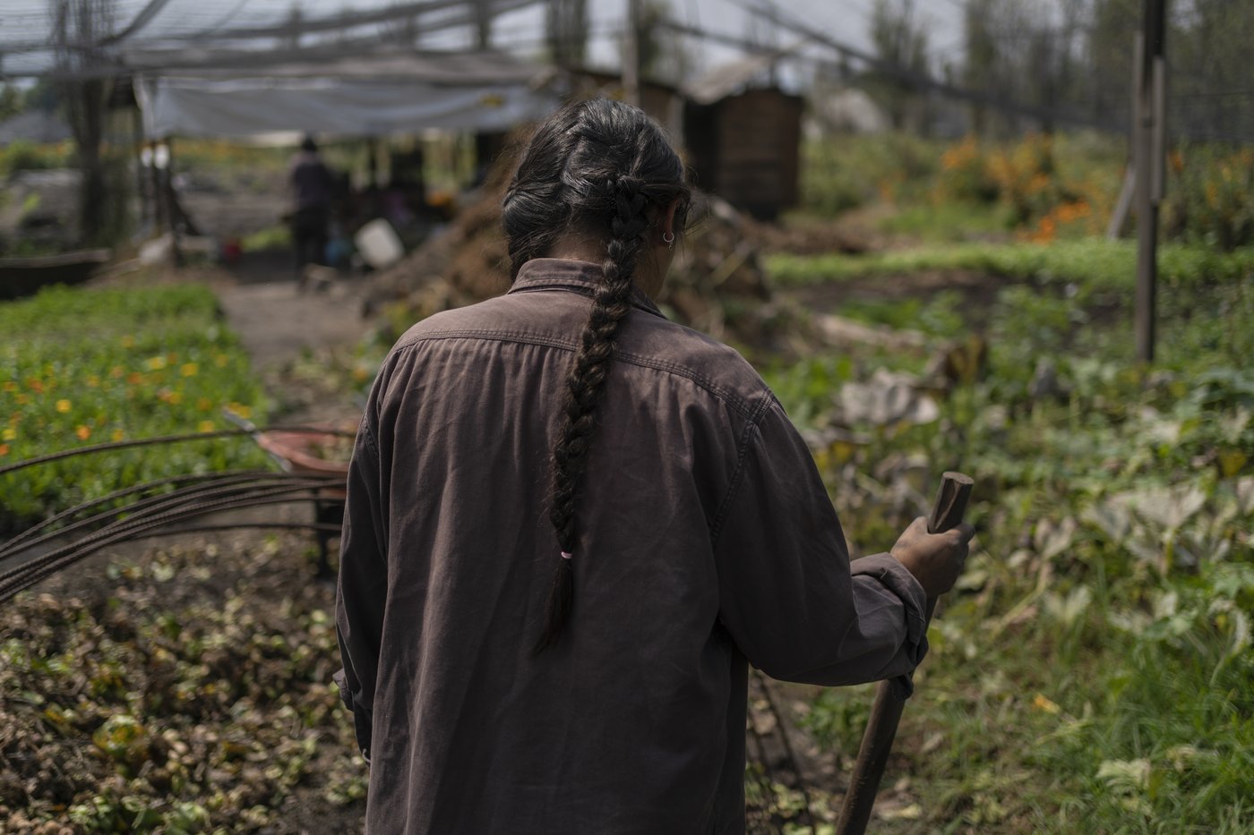 Mexico City’s floating gardens have fed people for hundreds of years. Now they’re threatened | iNFOnews.ca Mexico City’s floating gardens have fed people for hundreds of years. Now they’re threatened | iNFOnews.ca