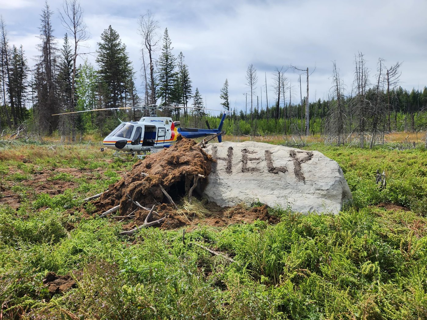 Missing B.C. man survives several days in wilderness by slurping water from ponds | iNFOnews.ca