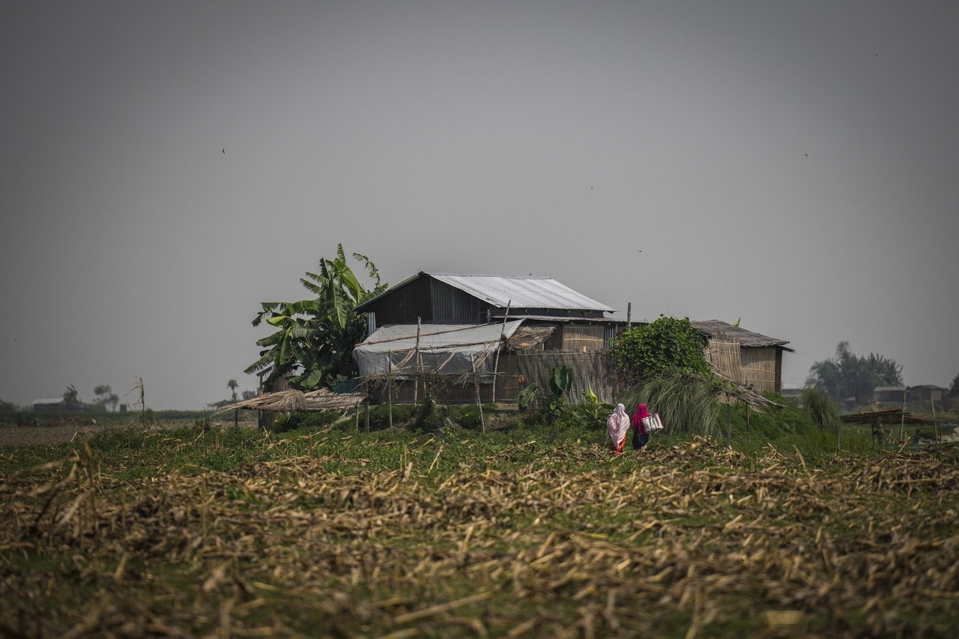 PHOTOS OF THE YEAR: Through photographers' lenses, an epic catalog of humanity in 2024 emerges | iNFOnews.ca