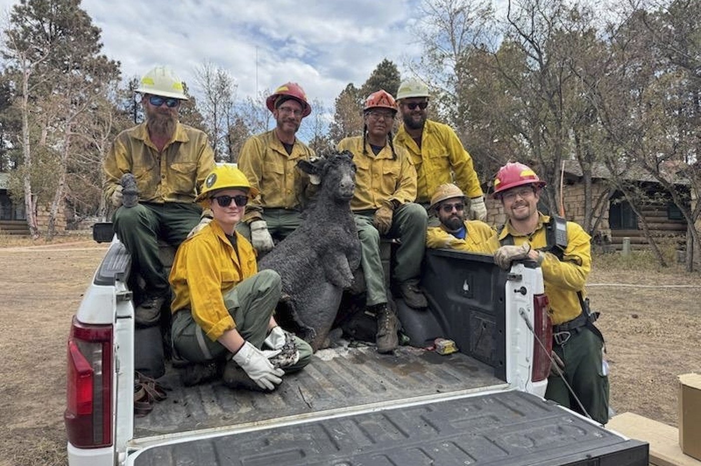 A Grand Canyon mascot is recovered from the rubble. Can Brighty the Burro be restored? | iNFOnews.ca