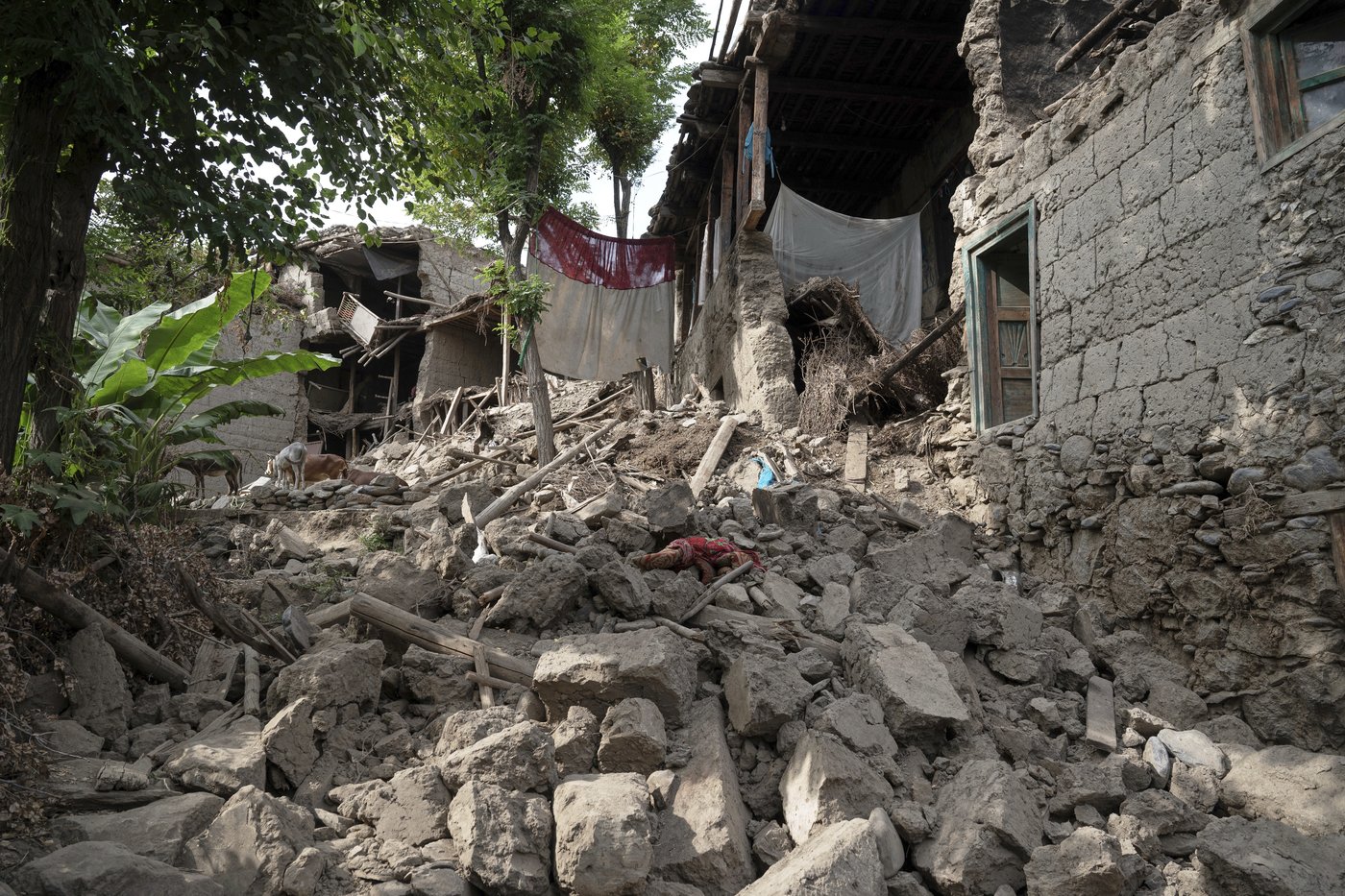 A quick look back at this week’s biggest stories | iNFOnews.ca A quick look back at this week’s biggest stories | iNFOnews.ca