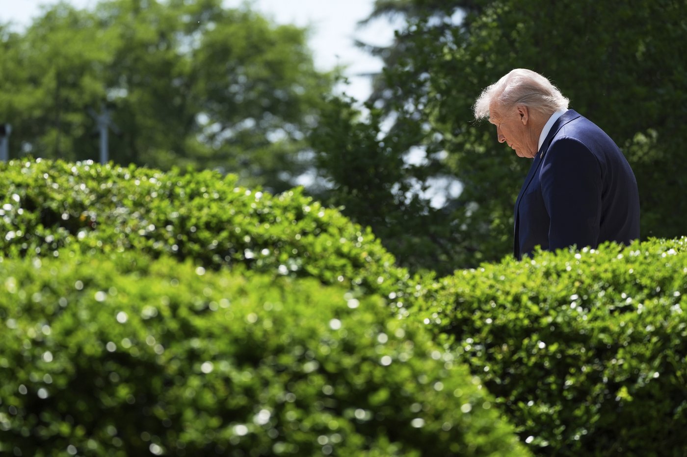 Trump threatens sanctions against buyers of Iranian oil after US-Iran nuclear talks are postponed | iNFOnews.ca Trump threatens sanctions against buyers of Iranian oil after US-Iran nuclear talks are postponed | iNFOnews.ca