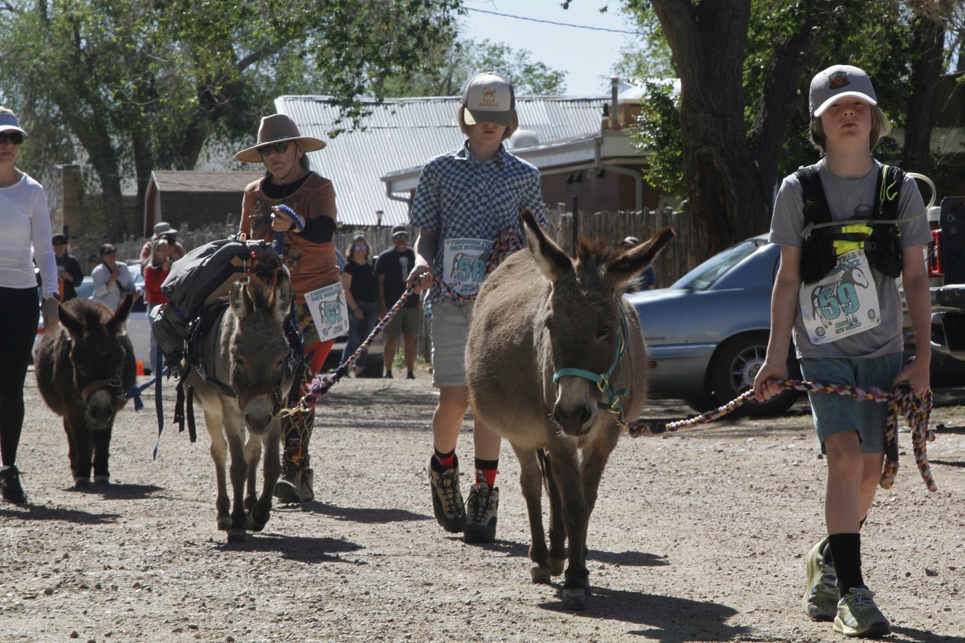 Burro racing wins over runners in backcountry ode to mining history | iNFOnews.ca