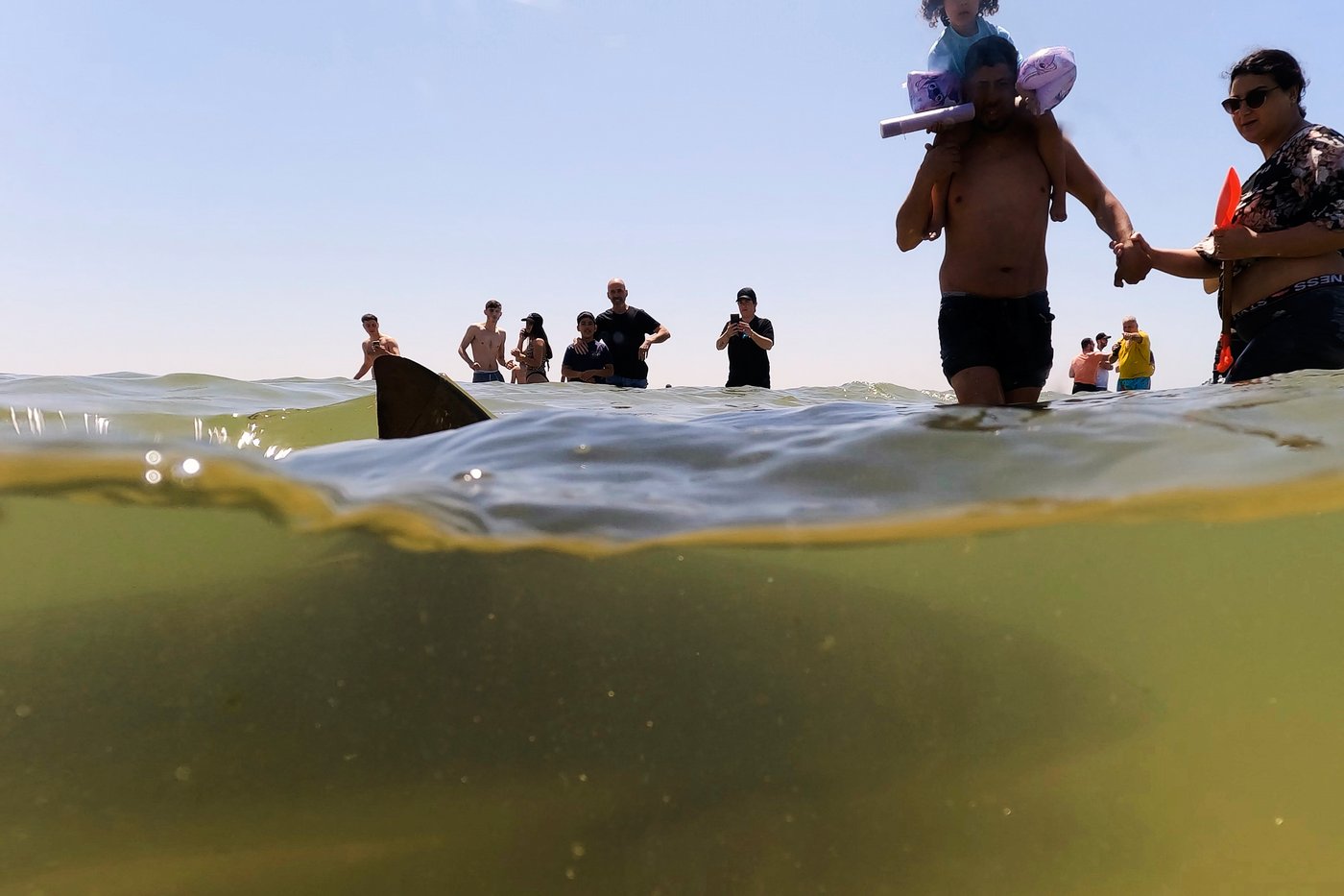 Swimmer's remains found after shark attack in waters off Israel's Mediterranean coast | iNFOnews.ca