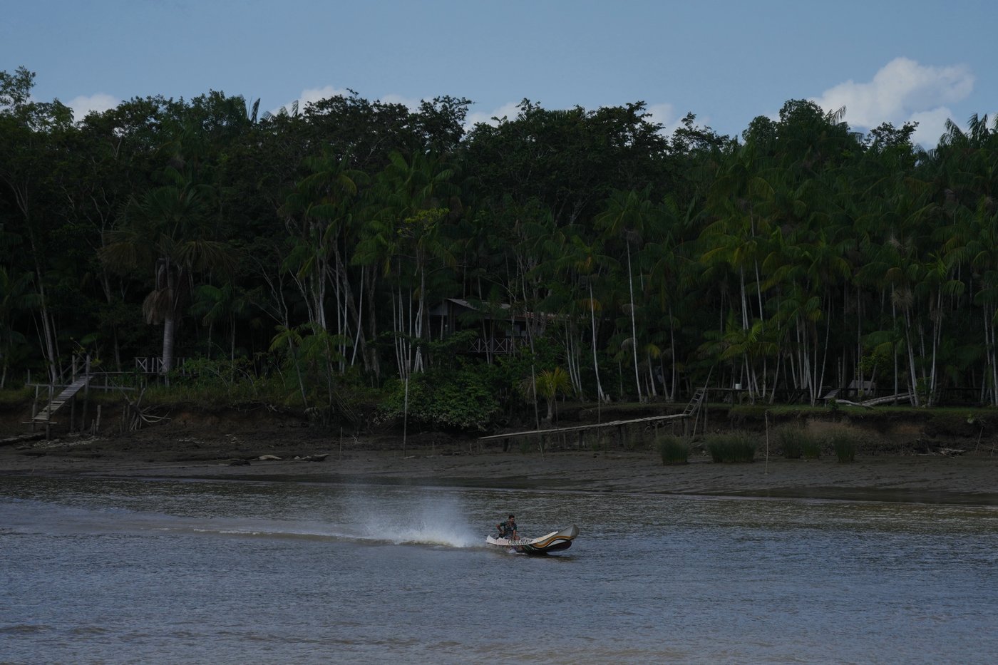 Railway project in the Amazon raises questions over Brazil's efforts to stop deforestation | iNFOnews.ca