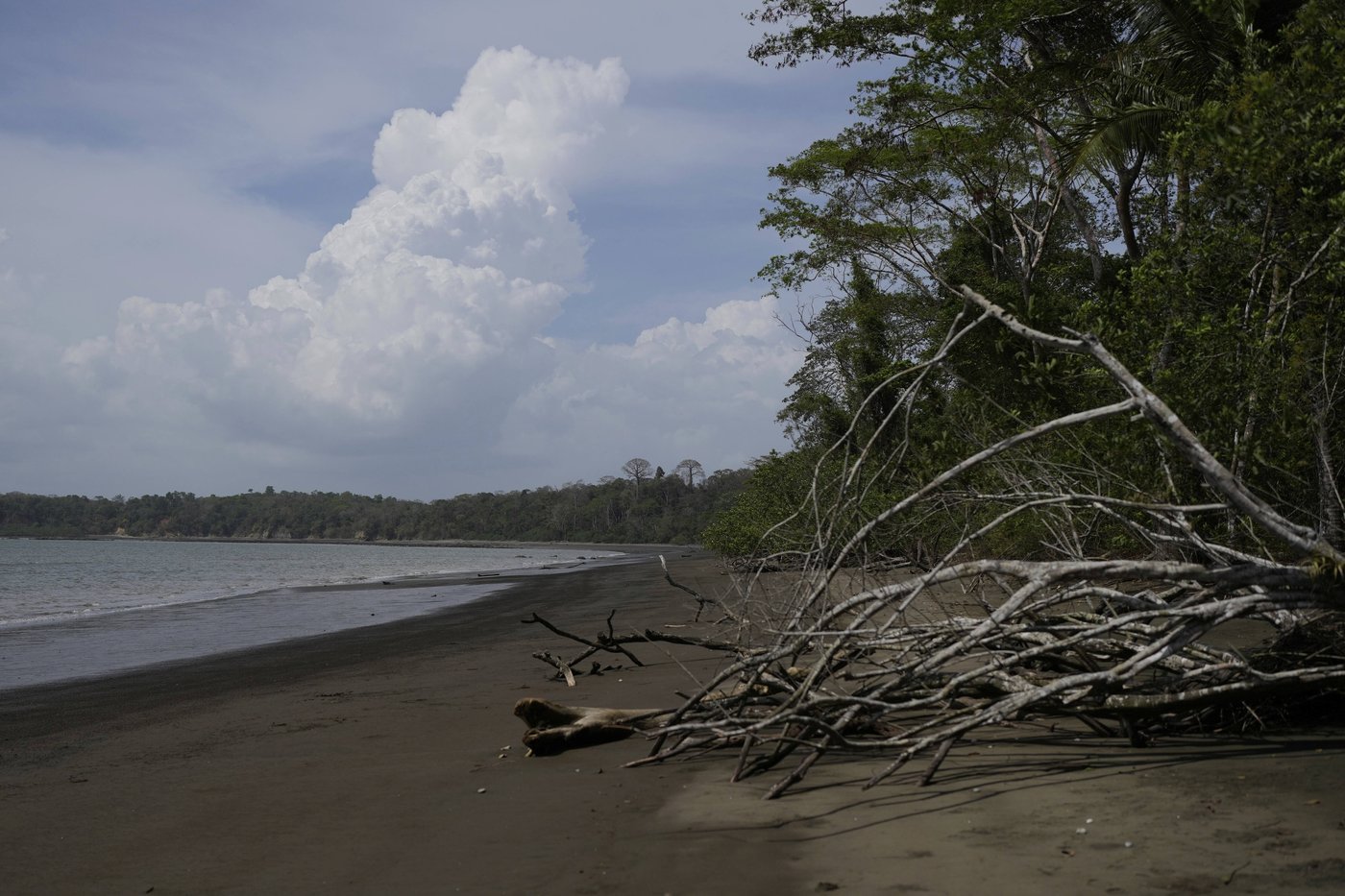 Few migrants remain in the Darien Gap, but an environmental crisis has been left behind | iNFOnews.ca