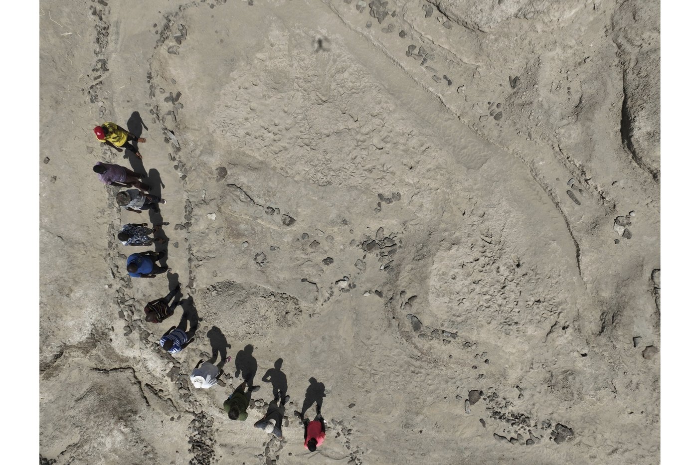 Muddy footprints suggest 2 species of early humans were neighbors in Kenya 1.5 million years ago | iNFOnews.ca