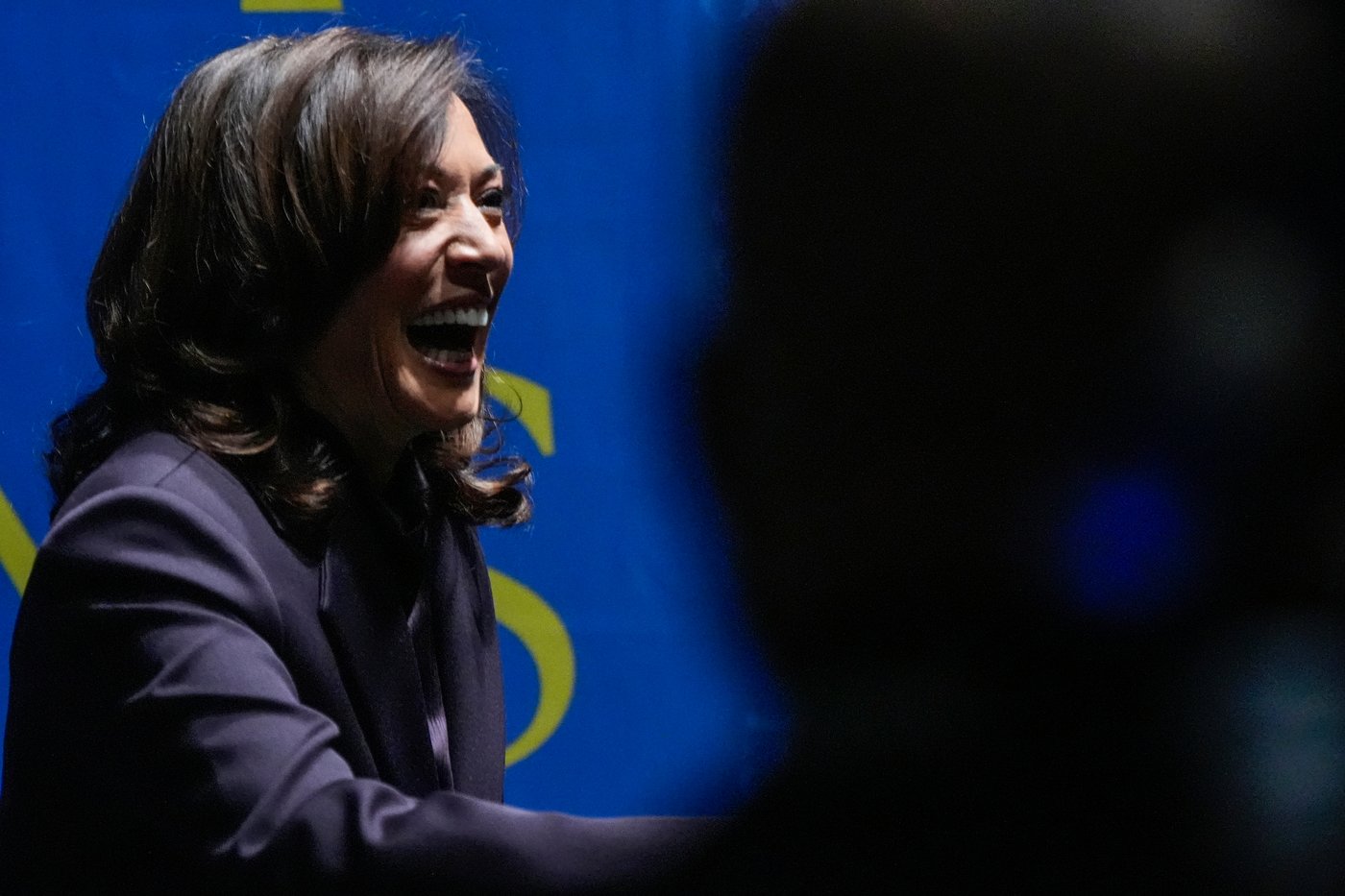 Kamala Harris leaves door open for 2028 presidential run | iNFOnews.ca