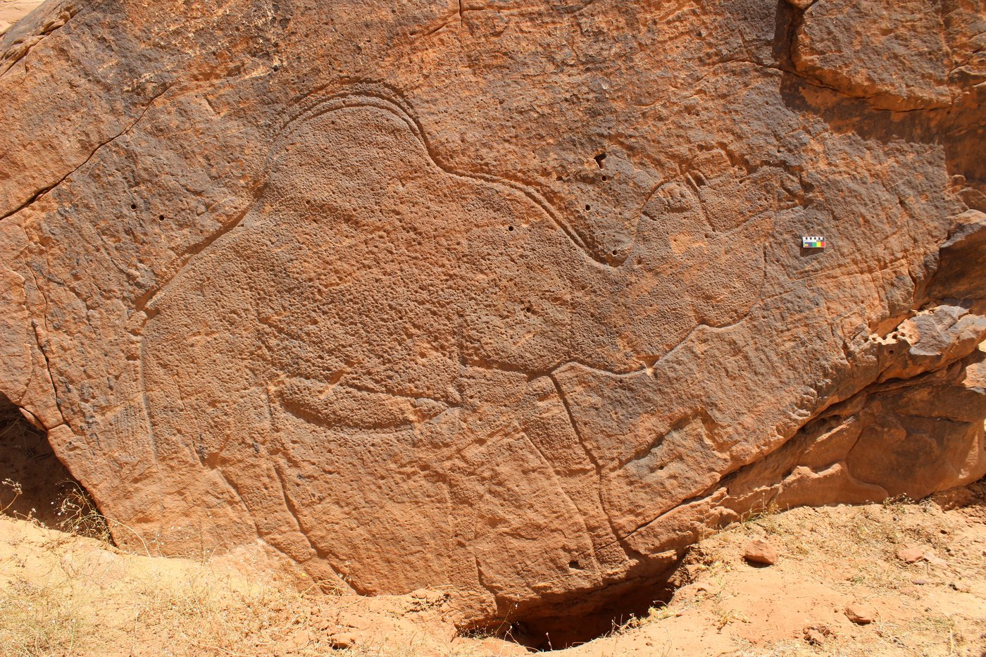 Scientists find ancient life-size animal rock carvings in the Saudi Arabian desert | iNFOnews.ca Scientists find ancient life-size animal rock carvings in the Saudi Arabian desert | iNFOnews.ca