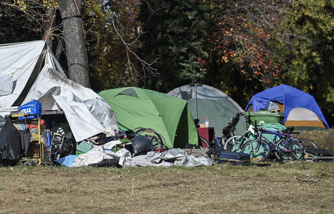 Montreal city councillors table motion to declare state of emergency on homelessness | iNFOnews.ca Montreal city councillors table motion to declare state of emergency on homelessness | iNFOnews.ca