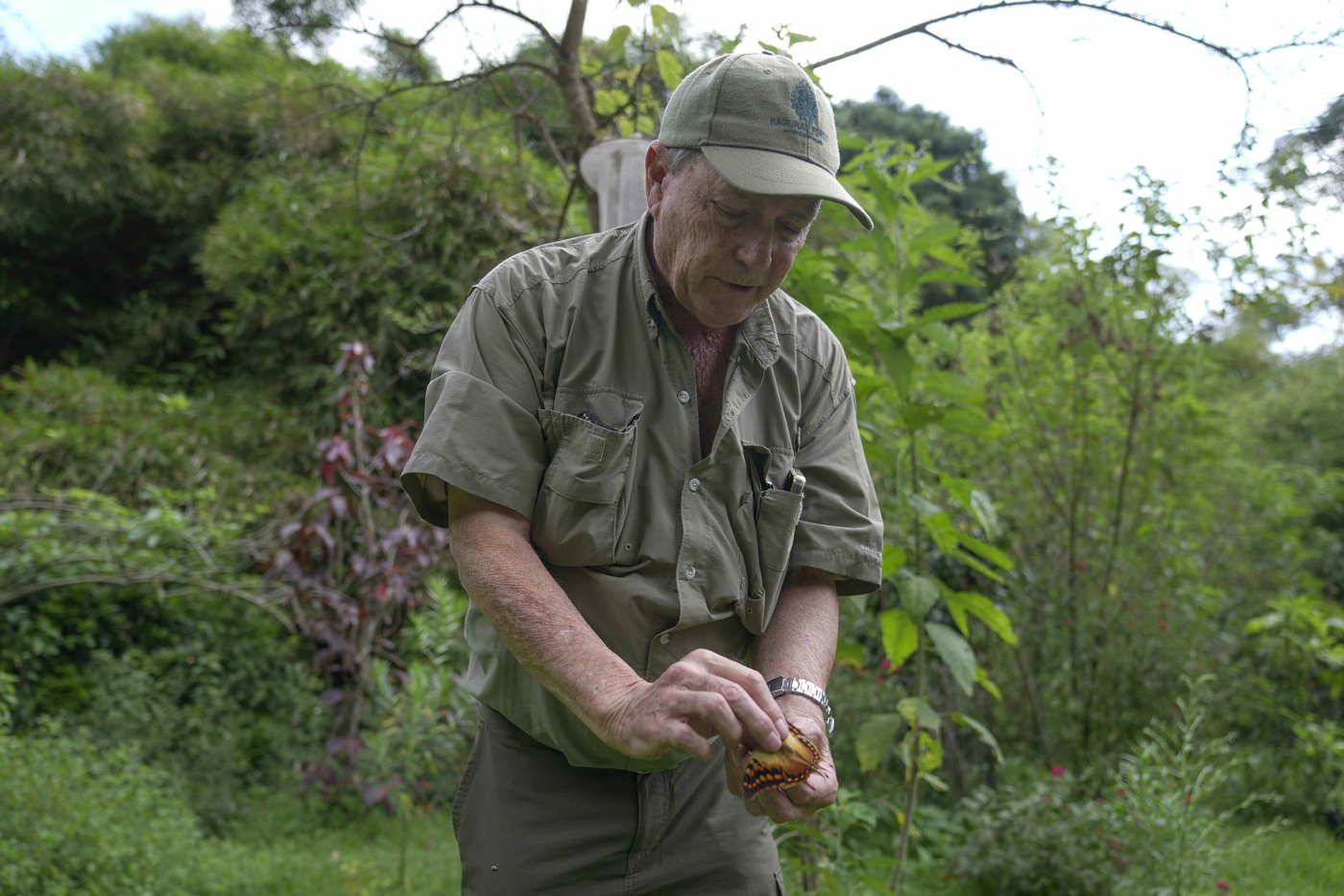 A butterfly collector in Africa with more than 4.2 million seeks to share them for the future | iNFOnews.ca A butterfly collector in Africa with more than 4.2 million seeks to share them for the future | iNFOnews.ca