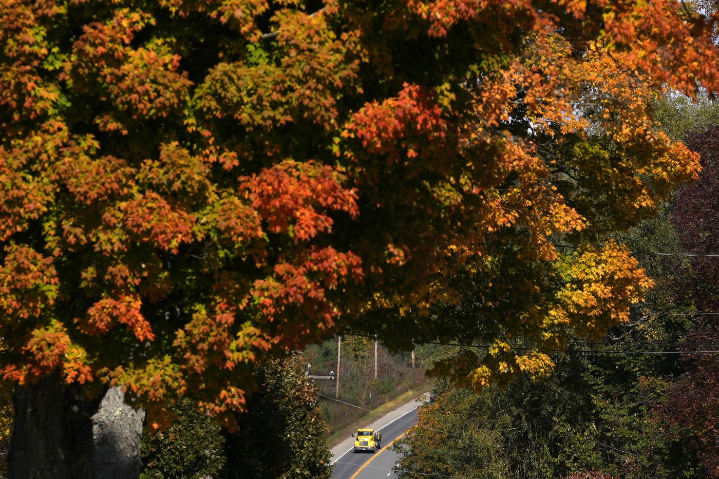 Leaf-peepers are flocking to see New England's brilliant fall colors | iNFOnews.ca Leaf-peepers are flocking to see New England's brilliant fall colors | iNFOnews.ca