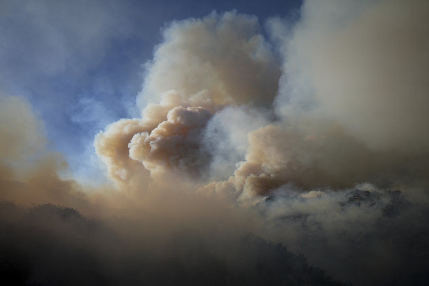 Celebrities and coastal residents flee from wind-driven wildfire in Malibu | iNFOnews.ca