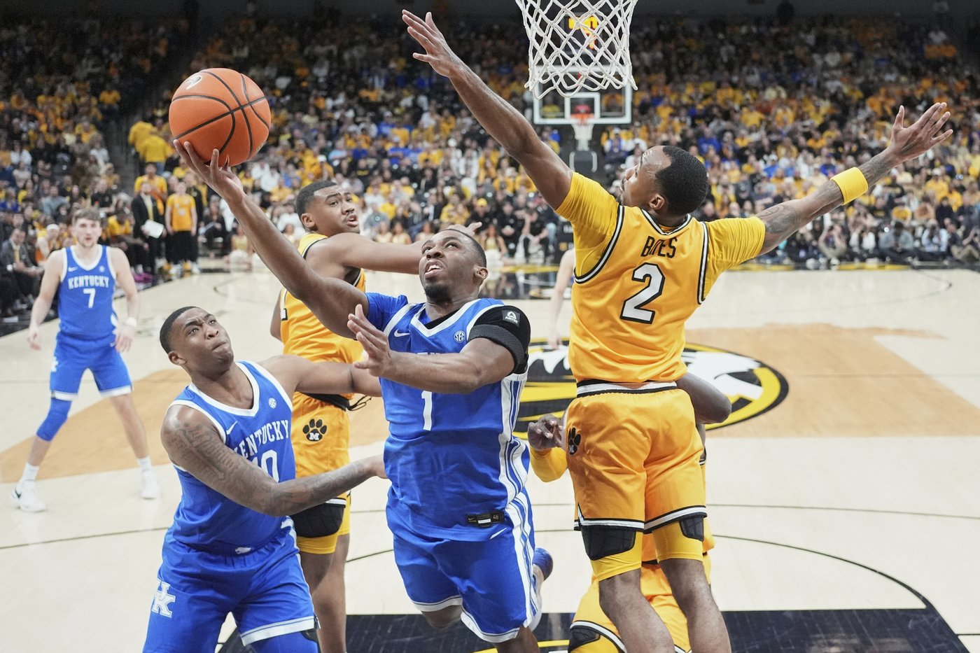 Kentucky relying on newcomers to end its recent history of postseason frustration | iNFOnews.ca