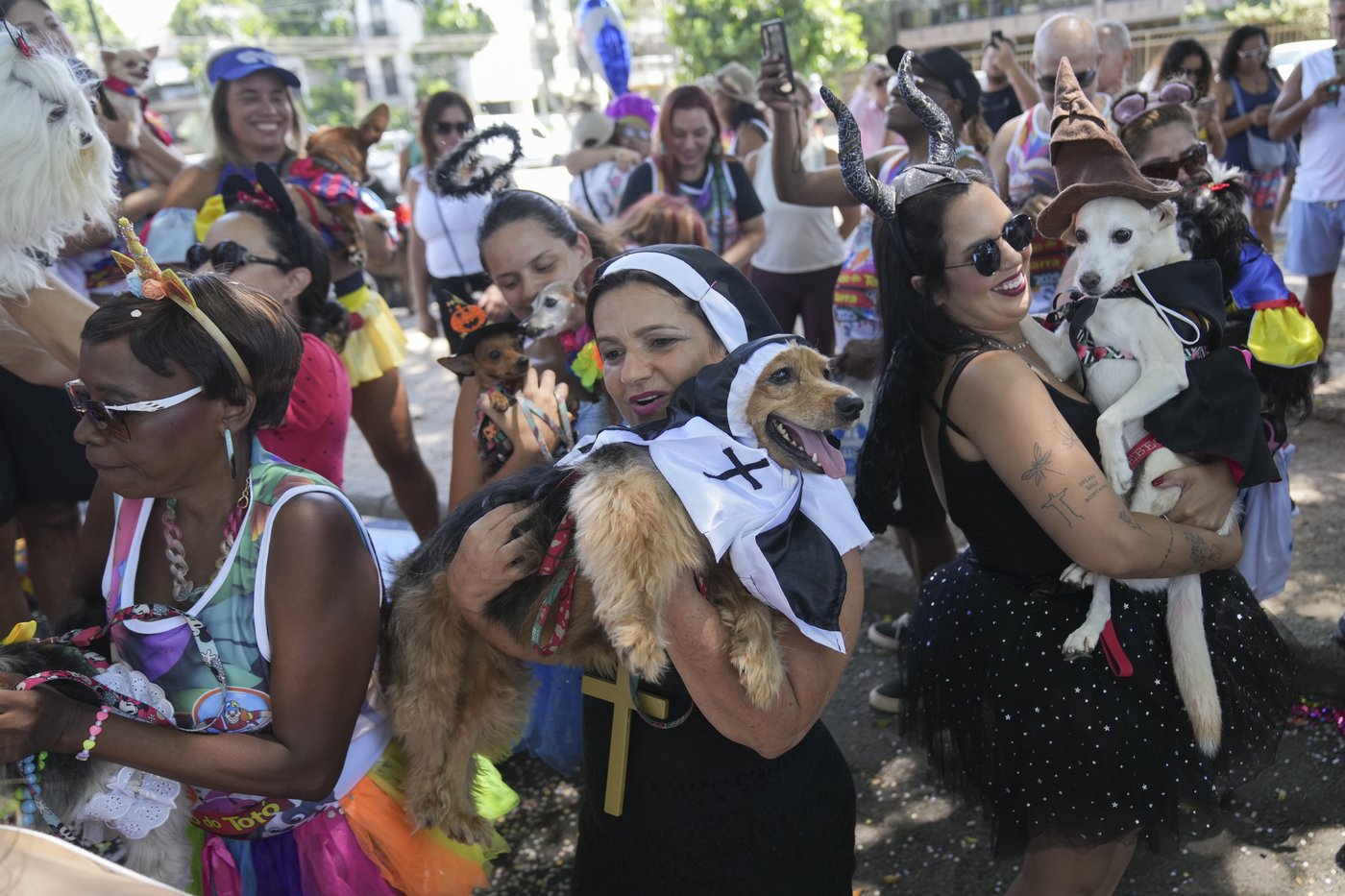 The Rio Carnival street party where dogs parade as superheroes and cartoon characters | iNFOnews.ca The Rio Carnival street party where dogs parade as superheroes and cartoon characters | iNFOnews.ca
