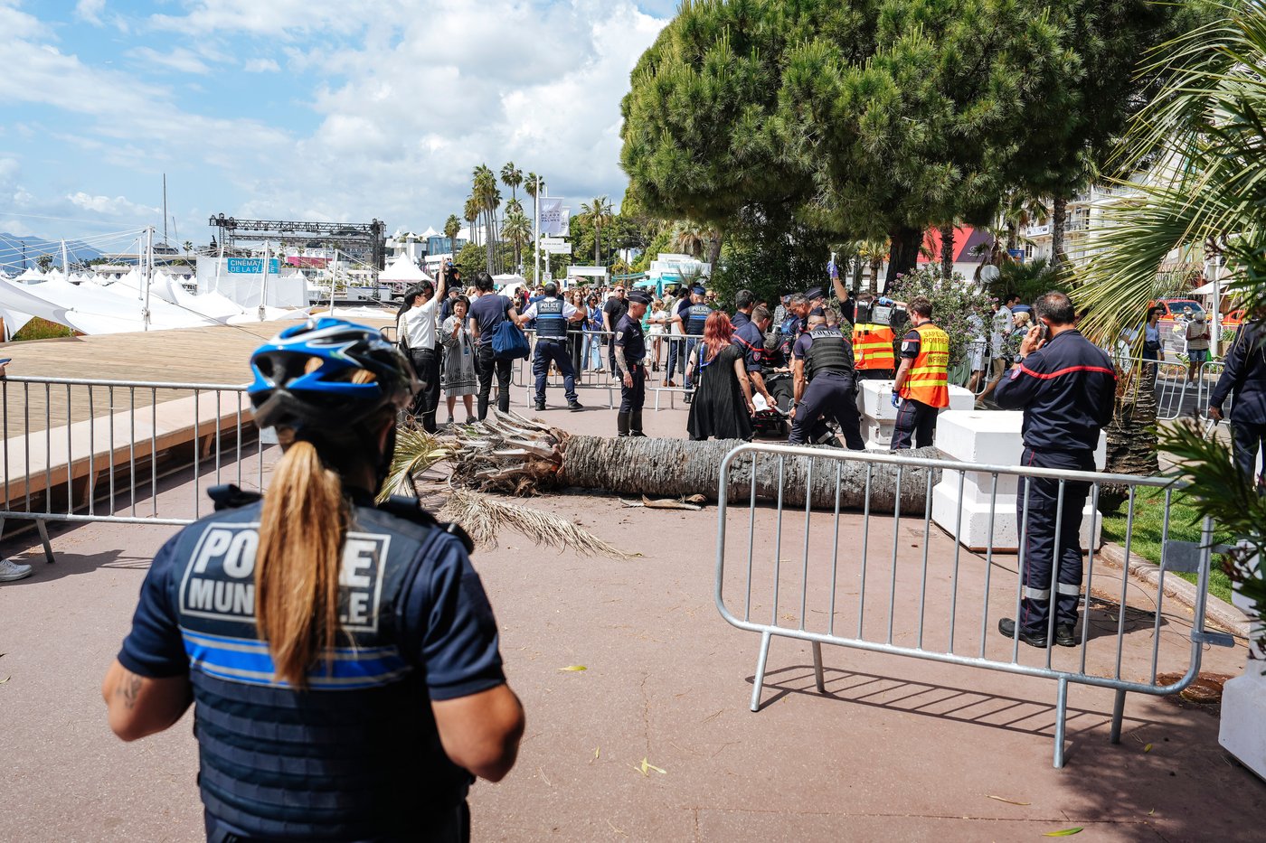 Palm tree falls on a person at Cannes Film Festival | iNFOnews.ca